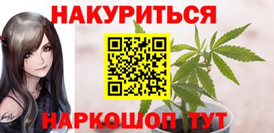гидра Будённовск