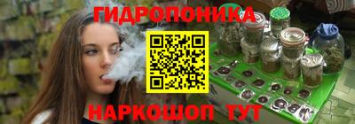 гидра Будённовск