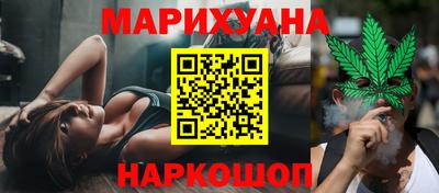 гидра Будённовск