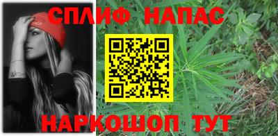гидра Будённовск