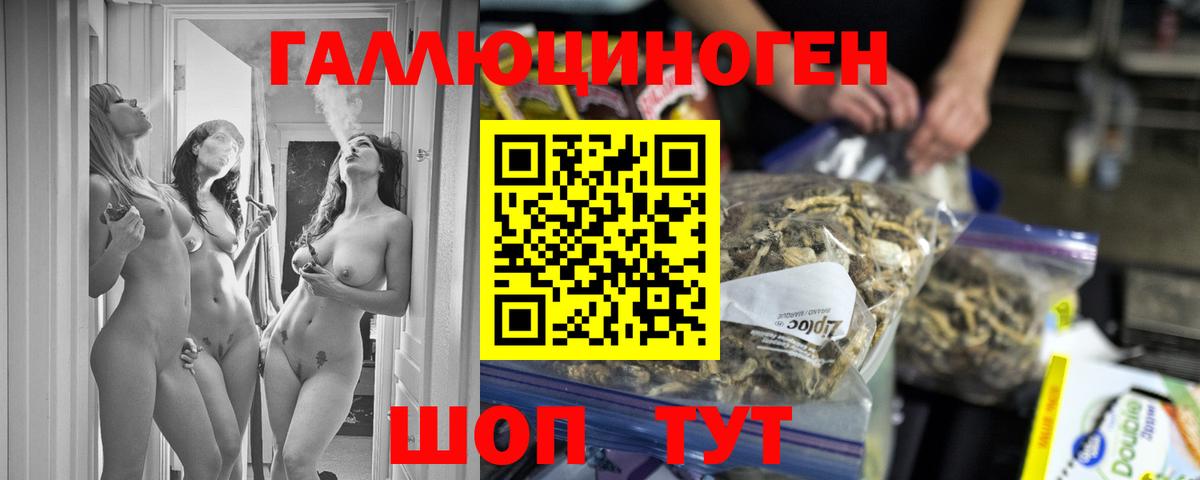 Чебаркуль  Псилоцибиновые грибы Psilocybe  Вход с VPN 